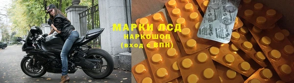 хмурый Аркадак