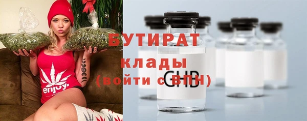 хмурый Аркадак