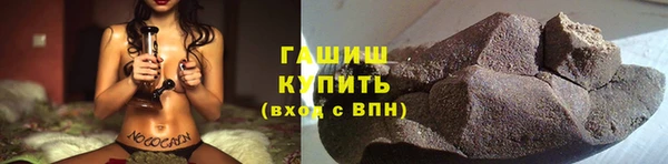 хмурый Аркадак