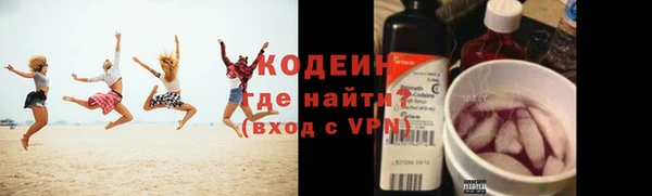хмурый Аркадак
