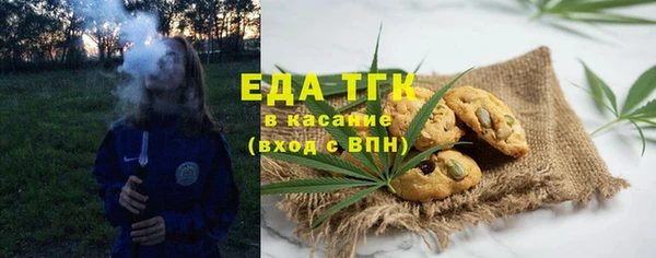 хмурый Аркадак