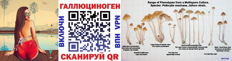 Галлюциногенные грибы MAGIC MUSHROOMS  дарк нет формула  Новоузенск  мега сайт 